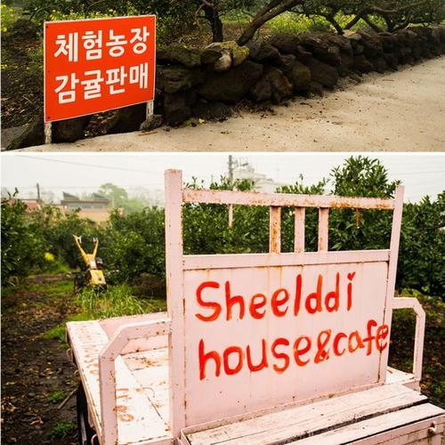 Sheelddi Pension ソギポ エクステリア 写真